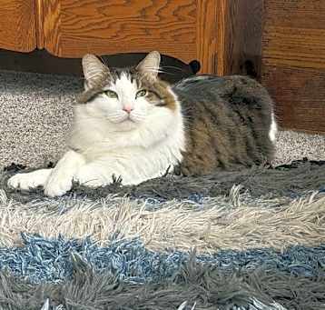 Photo of Wilbur
