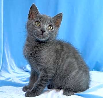 Photo of Stormy
