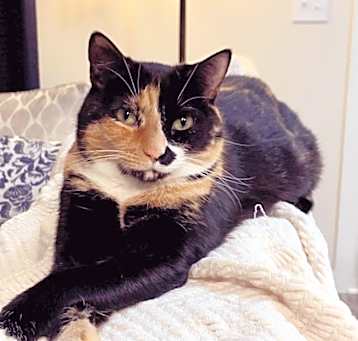 Photo of Trillian