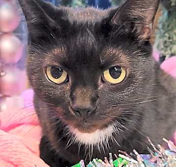 Photo of Tina