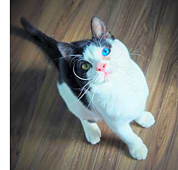 Photo of Mystic