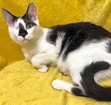 Photo of Marti