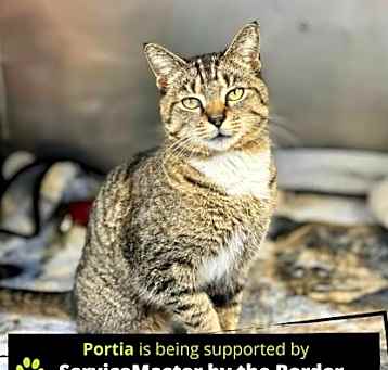Photo of Portia