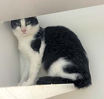Photo of Skittles