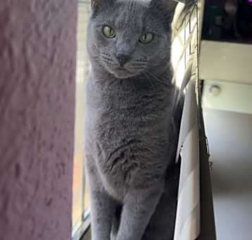 Photo of Nyx