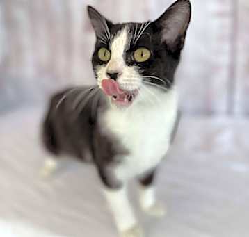 Photo of Laverne