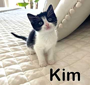 Photo of Kim