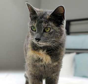 Photo of Dora