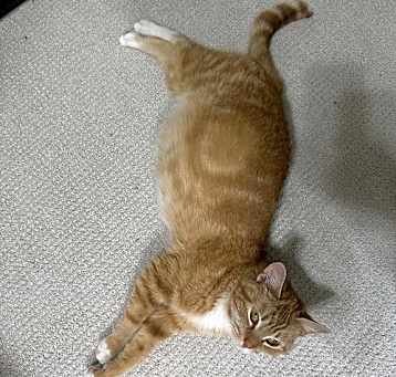 Photo of Nora