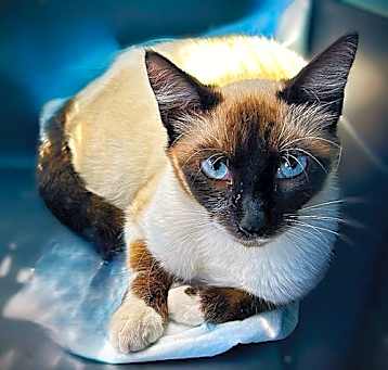Photo of Miss Xena