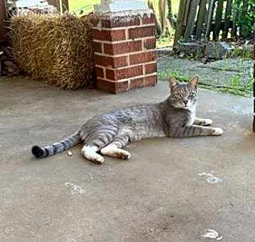 Photo of Kevin R - ADOPTED