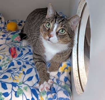 Photo of Tank