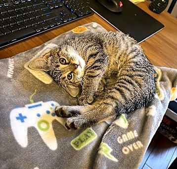 Photo of Boo