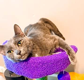 Photo of Junie