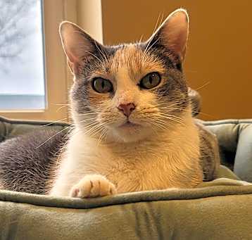 Photo of Celina