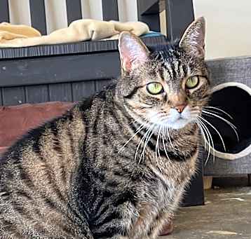 Photo of Max