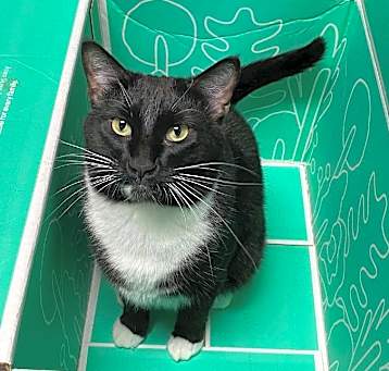 Photo of Bristle