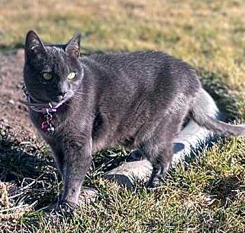 Photo of Grace