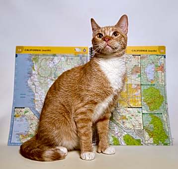 Photo of Atlas