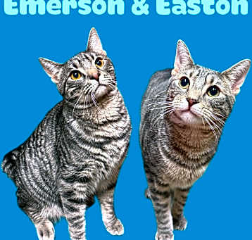 Photo of Emerson and Easton