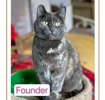 Photo of Founder