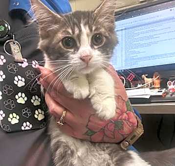 Photo of Fuzzy