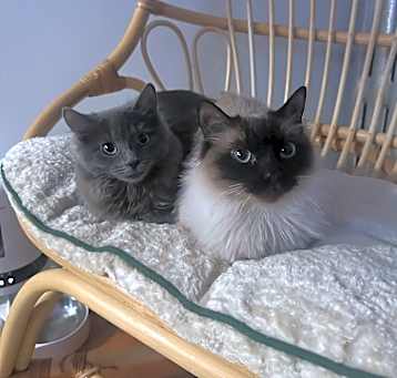 Photo of EWEGENE & ORORO