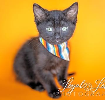Photo of Cayenne