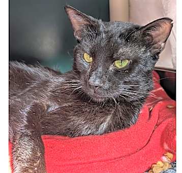 Photo of Neighbor Tommy