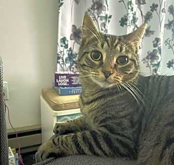 Photo of Theodore