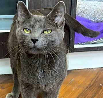 Photo of Sprinkles