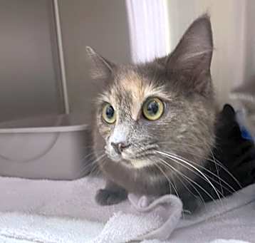 Photo of Bubbles