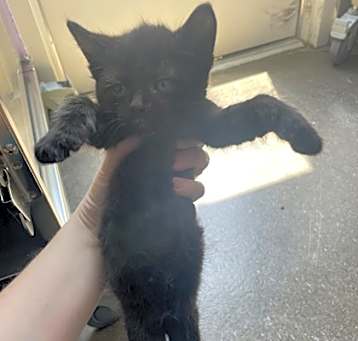 Photo of Chili