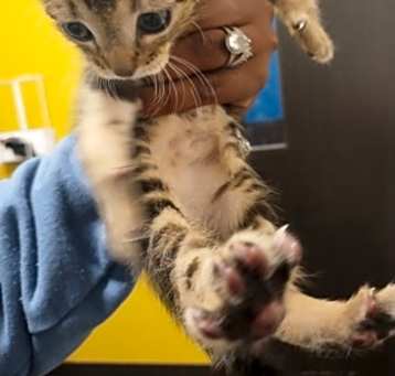 Photo of Baby1