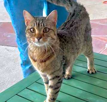 Photo of Judi