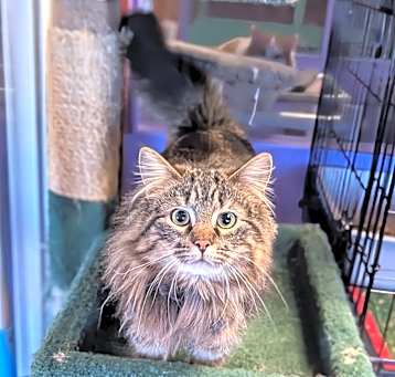 Photo of Reginald