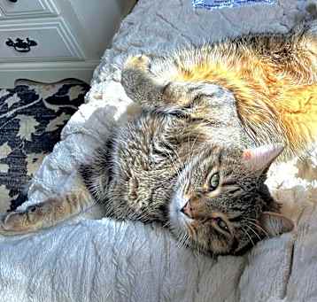 Photo of BUDDY