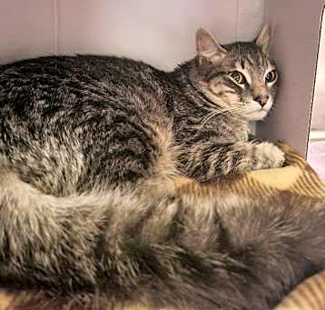 Photo of Buddy