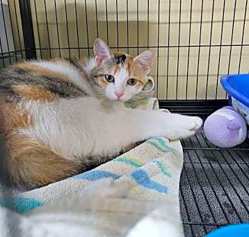 Photo of Lucky