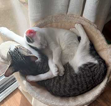 Photo of Opal and June