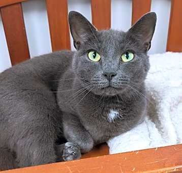 Photo of MATILDA