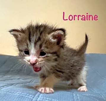 Photo of Lorraine