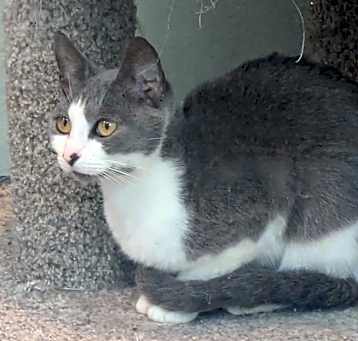 Photo of Moxie