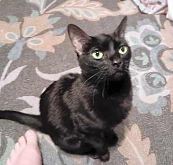 Photo of Abigail