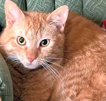 Photo of Marty