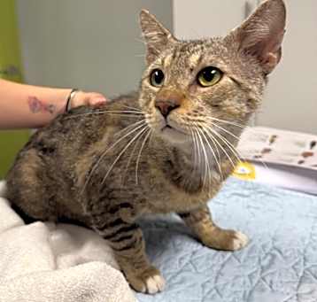 Photo of Bootsie