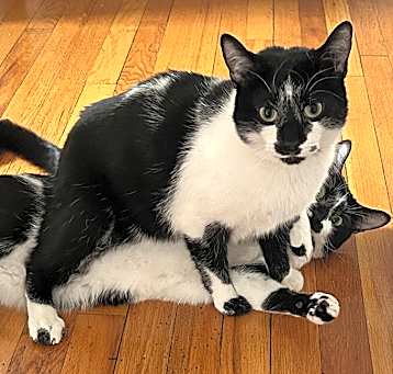 Photo of Henry & Malcolm