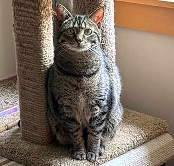Photo of Honey