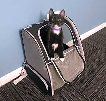 Photo of Mia