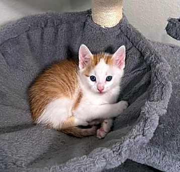 Photo of Dalton